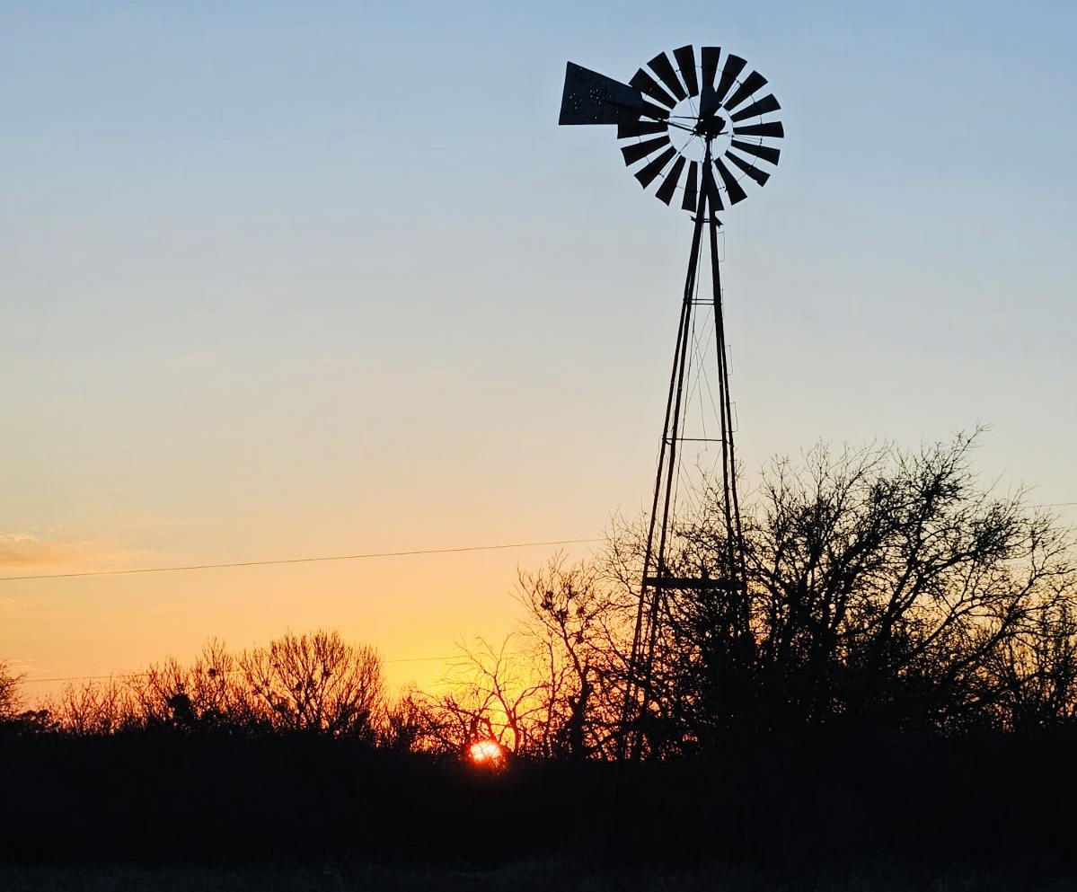 Pups Club House - Premium Dog Daycare, Boarding & Grooming in Rhome, TX